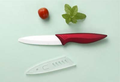 Chef Knife And Paring Knife Set
